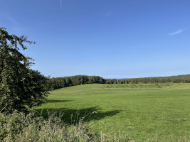 Waffeln, Eis und heiße Kirschen
