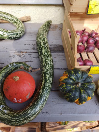 Waffeln, Eis und heiße Kirschen