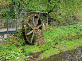 GG Eifel 01/24 Manderscheid