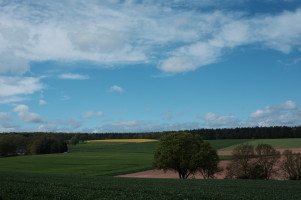 Gemütliche Tour nach Birgel zur historischen Wassermühle