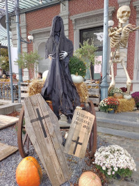 Tour nach Belgien,Kurvenreich ohne AB