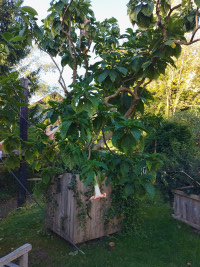 Auf zum Solling! (Weserbergland)