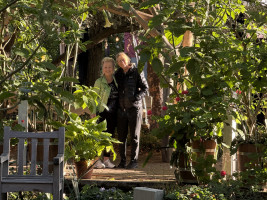 Auf zum Solling! (Weserbergland)