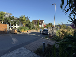 Auf zum Solling! (Weserbergland)