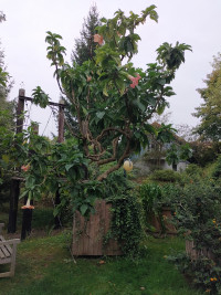 Auf zum Solling! (Weserbergland)