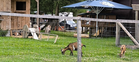 Tour zum Blockhaus am schwarzen Mann