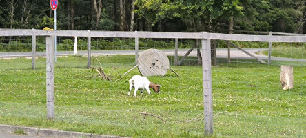 Tour zum Blockhaus am schwarzen Mann