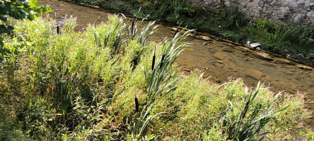 JP Tour für kleine Mopeds und Gespanne in die Voreifel