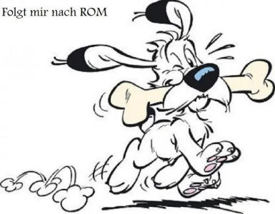 Asterix und Obelix erobern ROM