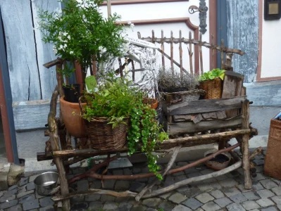 Zum Schottenring Classic Grand Prix