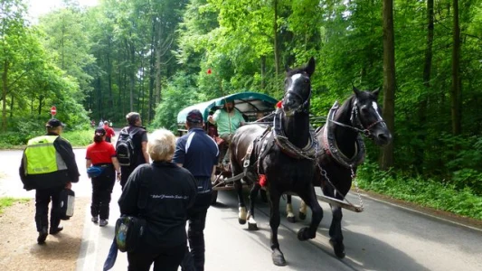 Vatertag 2014 im Erzgebirge
