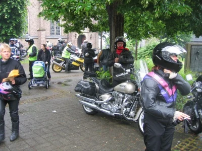 Zweiter Bergheimer Mogo 2008