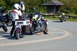 Bikerhaus im Weserbergland 2015