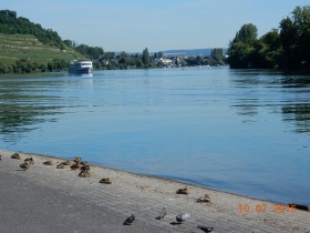 Freitags-Rhein-Mosel-Tour