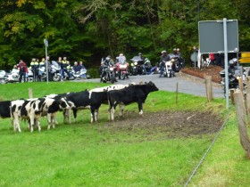Motorradkorso zum Altenberger  Dom