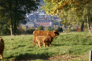 Große Ardennen-Tour in Belgien