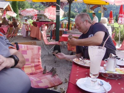 Kärnten 2010