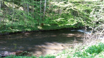 Vatertagstour in den Odenwald 2016