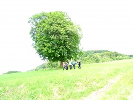 Mädelstour 2016 in die Rhön
