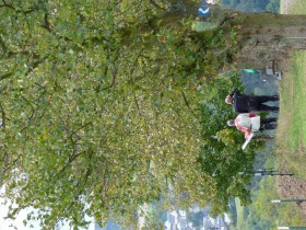 Drei Burgen Blick