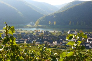 Mosel-Tour