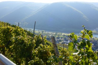 Mosel-Tour