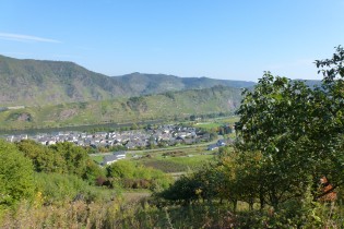 Mosel-Tour