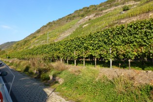 Mosel-Tour