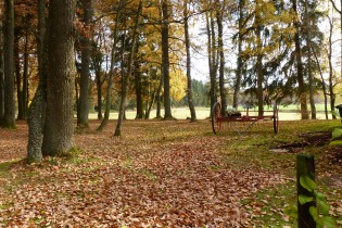 Kleine Eifeltour