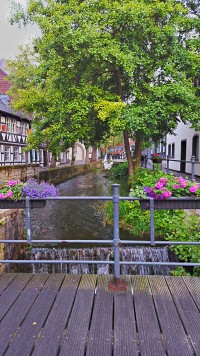 **** Jahres Tour der BFR'ler 2017 ****