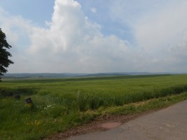 Nideggen, Rursee, Wassenberg, 477 in Niederaußem