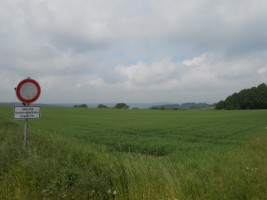 Nideggen, Rursee, Wassenberg, 477 in Niederaußem
