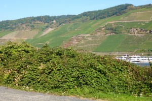 Rhein-Taunus-Lahn Tour