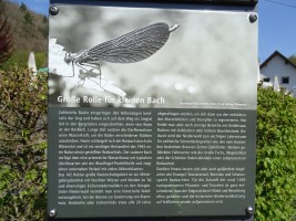 Zügige Schönwettertour in den Westerwald