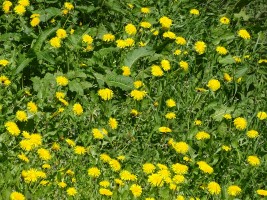 Zügige Schönwettertour in den Westerwald