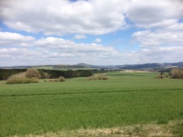 GG Blankenheim-Hillesheim-Tour