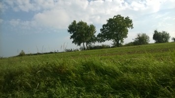 Gemütlische Genusstour (Blümchenpflückertour)