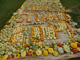 gemütliche Tour zum Kewelshof in Obergartzem
