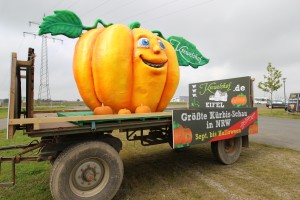 gemütliche Tour zum Kewelshof in Obergartzem