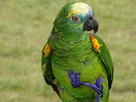 gemütliche Tour zum Kewelshof in Obergartzem