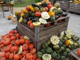 gemütliche Tour zum Kewelshof in Obergartzem