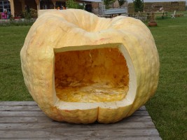 gemütliche Tour zum Kewelshof in Obergartzem