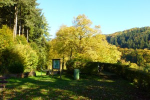 Kyllburg-Gerolstein-Tour 2017