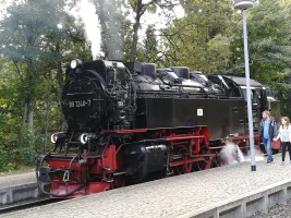 Gemütlich und sicher     3 Tage Harz Pullman City