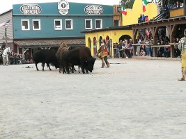 Gemütlich und sicher     3 Tage Harz Pullman City