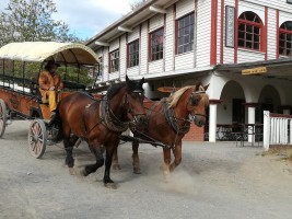 Gemütlich und sicher     3 Tage Harz Pullman City