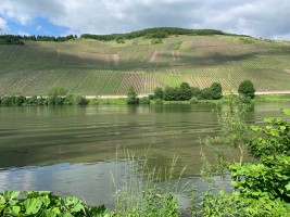 BFR Jahres Tour 2019