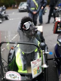 Sasionabschlussfahrt zum Altenberger Dom