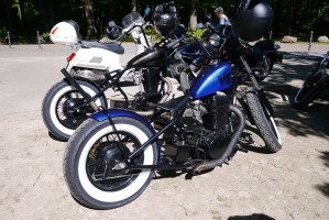 Der etwas andere kleine Limburger...