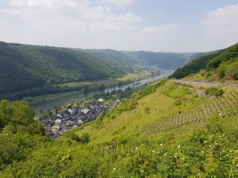 Mosel-Kehren-Tour